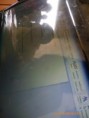 /album/fotogaleria-fotogaleria/a155006-525289264169029-885576905-n-jpg/